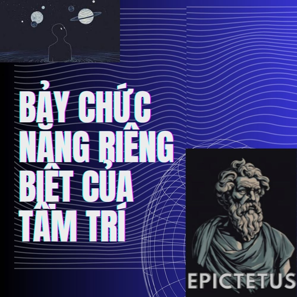 Bảy Chức Năng Riêng Biệt Của Tâm Trí